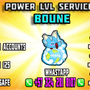 Power lvl Service BOUNE
